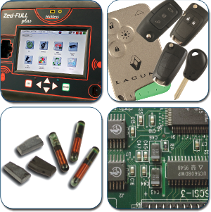 Zed-FULL Plus Training